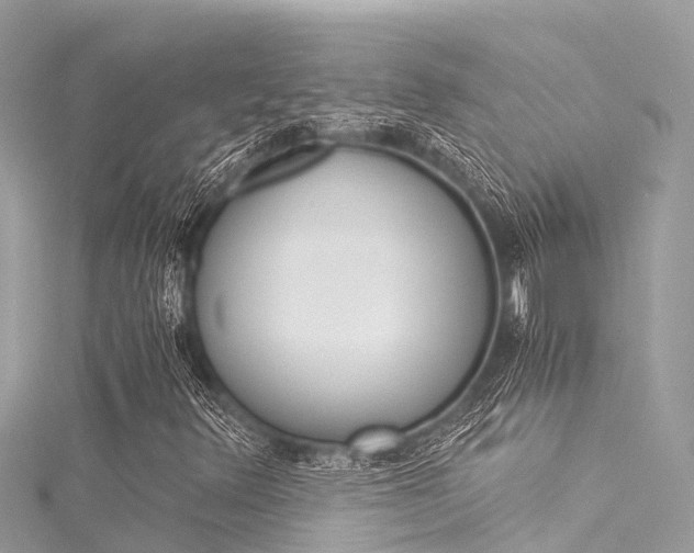 X0000116051348200911201034