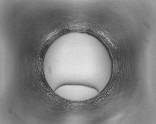 X0000116051350200911201034