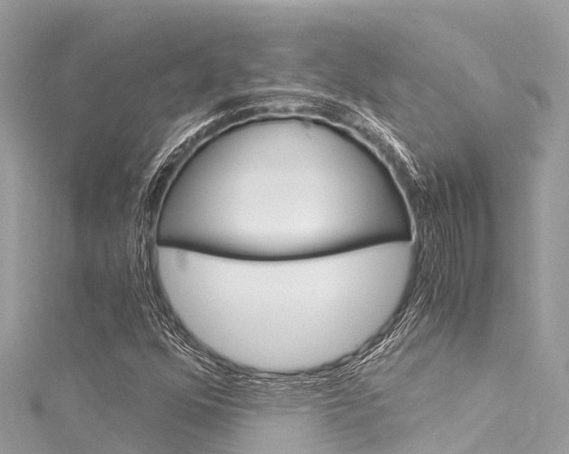 X0000116051352200911201034