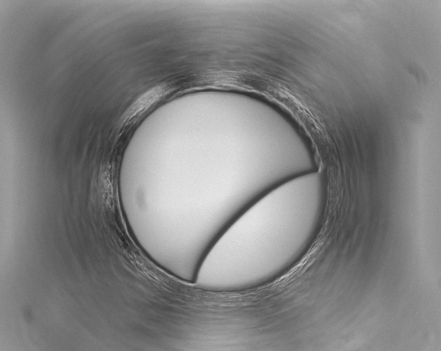 X0000116051354200911201034