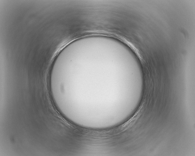 X0000116051365200911201034