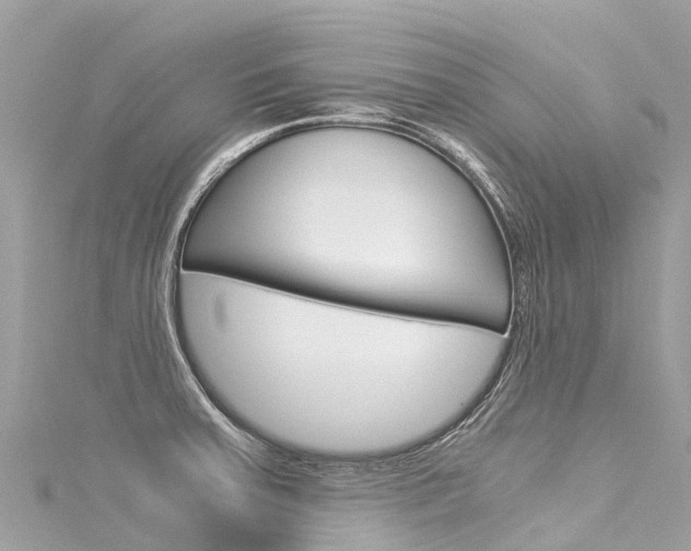 X0000116051379200911201034