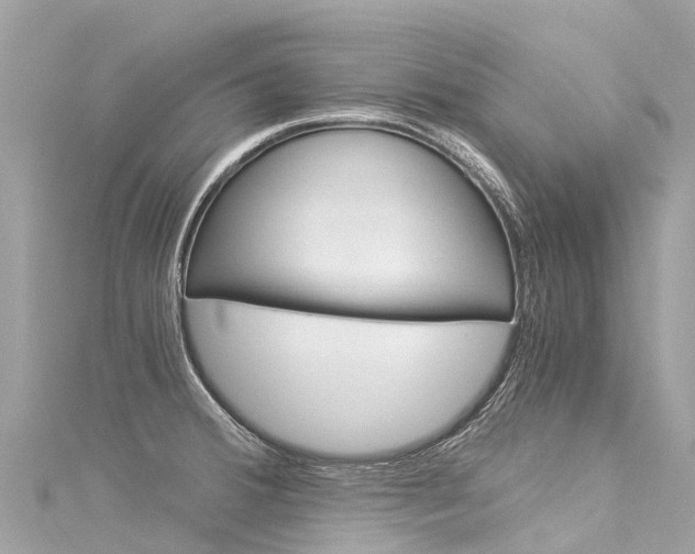 X0000116051380200911201034