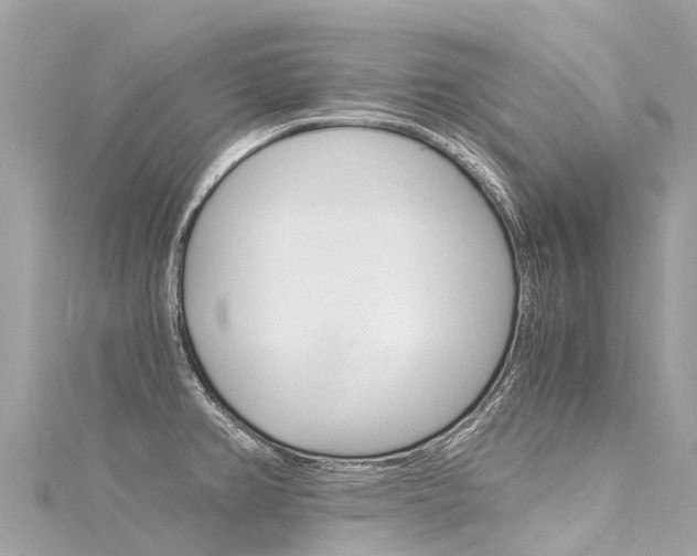 X0000116051382200911201033