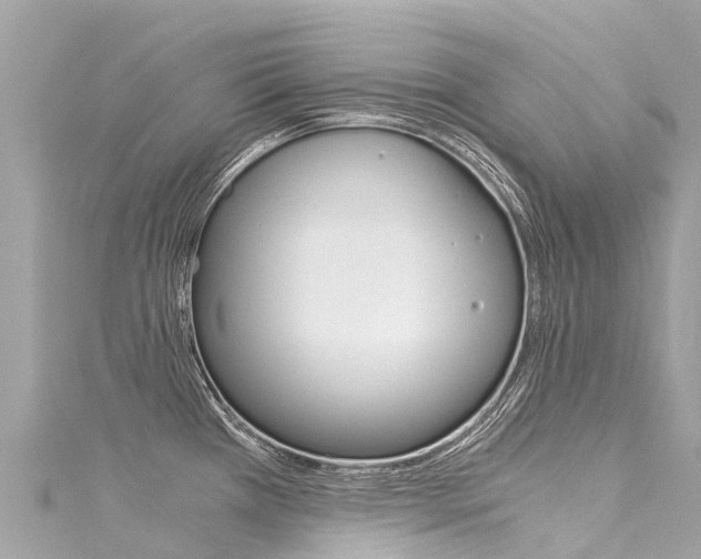 X0000116051385200911201033
