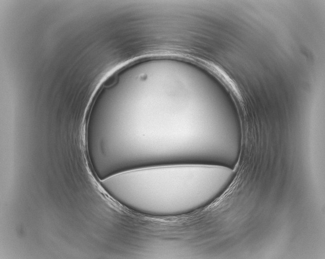 X0000116051388200911201033