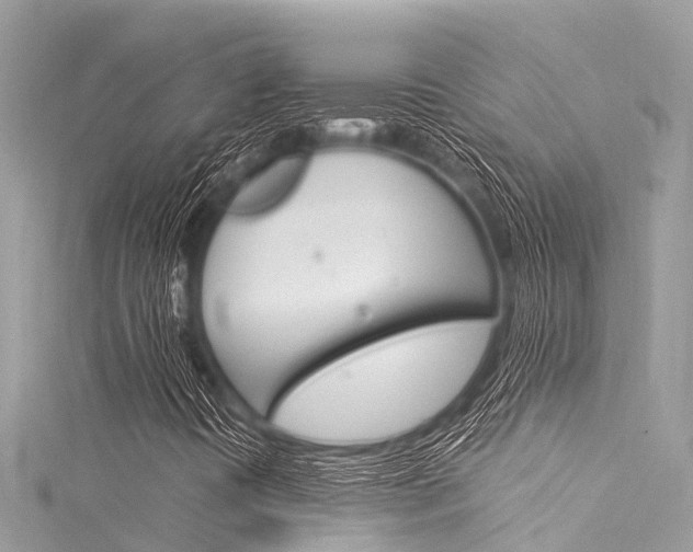 X0000116051394200911201033