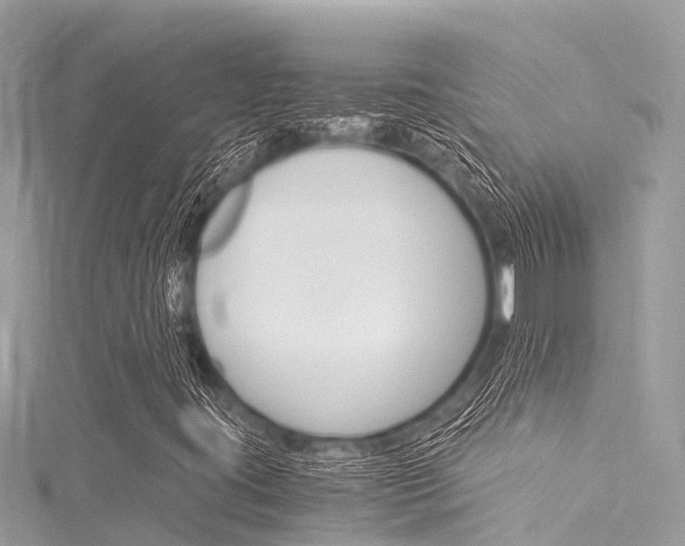 X0000116051395200911201033
