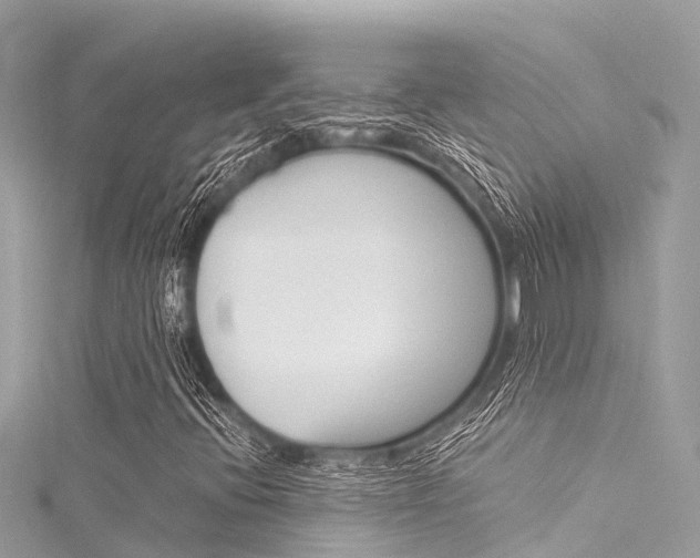 X0000116051396200911201033