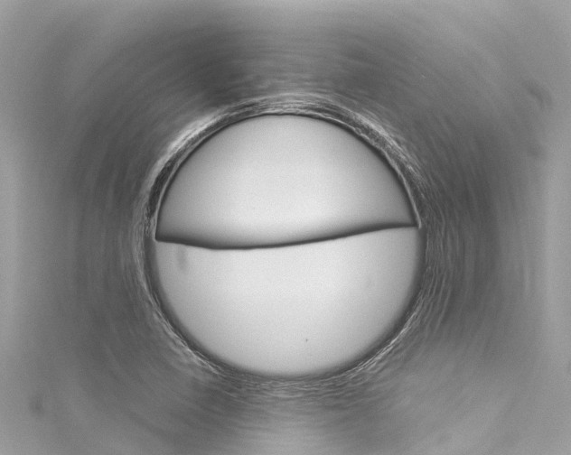 X0000116051410200911201033