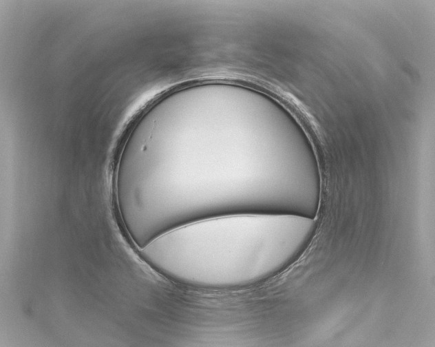 X0000116051416200911201033