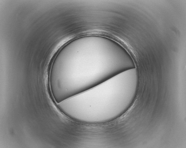 X0000116051418200911201033