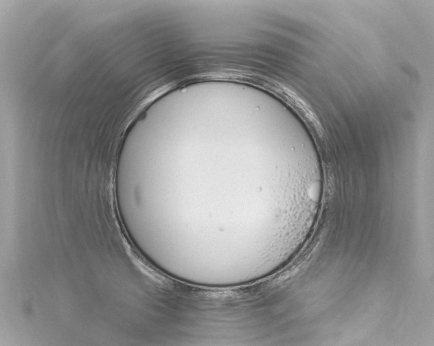 X0000116051425200911201033
