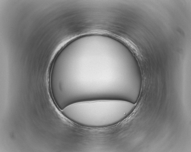 X0000116051430200911201033