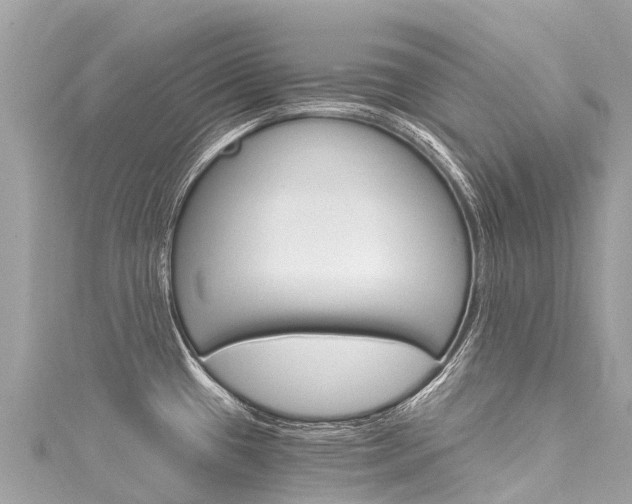 X0000116051433200911201033