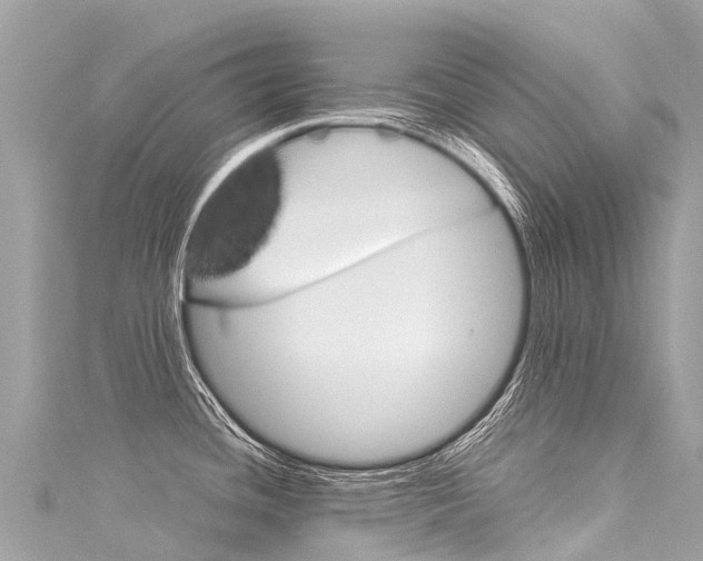 X0000116051436200911201033