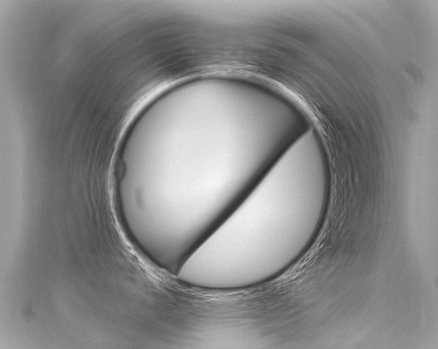 X0000116051440200911201033