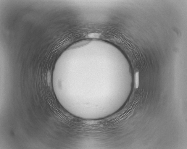 X0000116051443200911201033