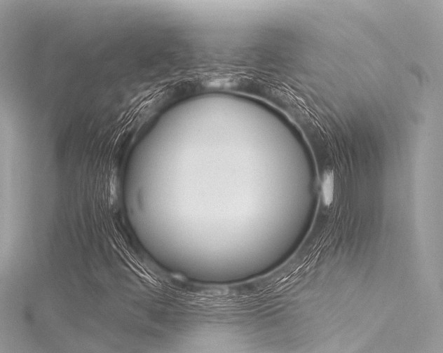 X0000116051444200911201033
