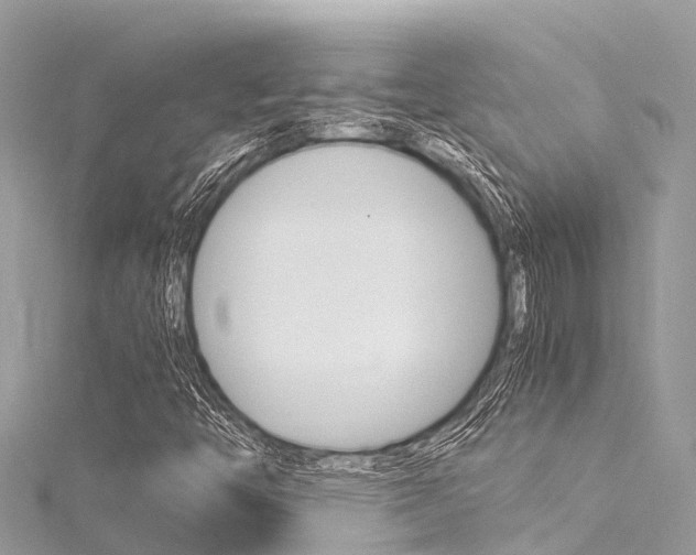 X0000116051446200911201033