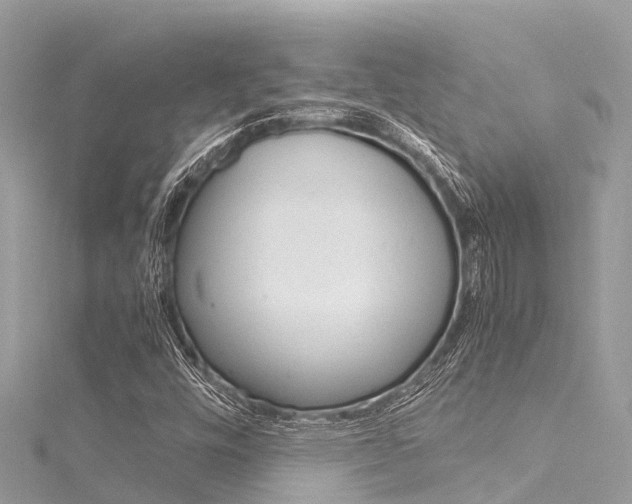 X0000116051448200911201033