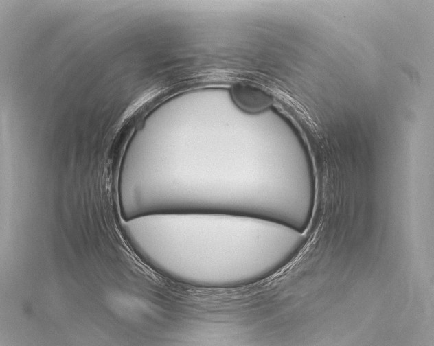 X0000116051450200911201032
