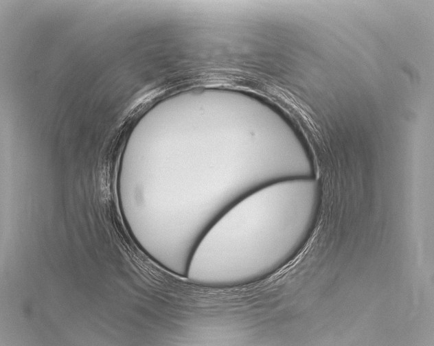 X0000116051451200911201032