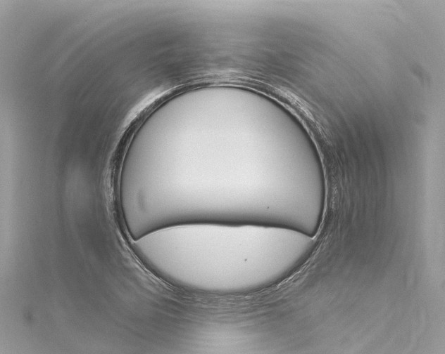 X0000116051458200911201032
