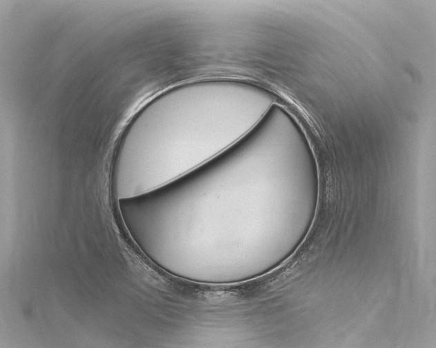 X0000116051459200911201032