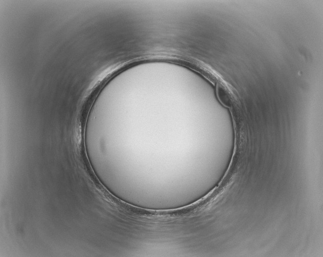 X0000116051461200911201032