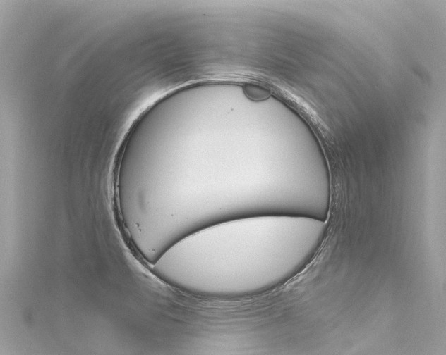 X0000116051471200911201032