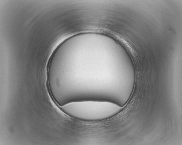 X0000116051479200911201032