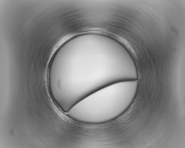 X0000116051482200911201032