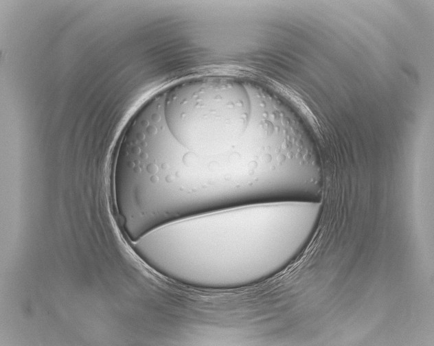 X0000116051483200911201032