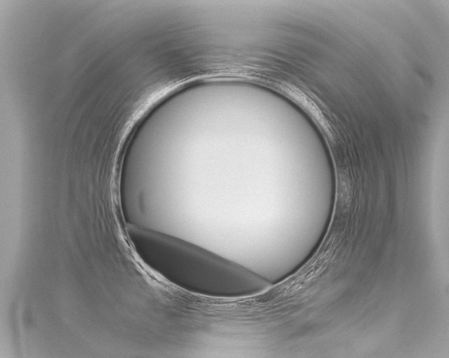 X0000116051485200911201032
