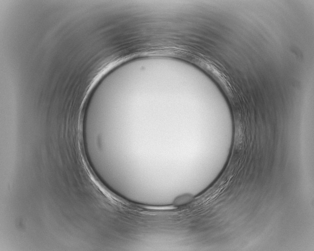 X0000116051487200911201032
