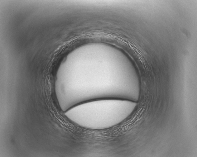 X0000116051493200911201031