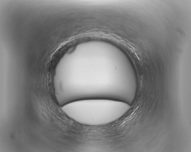 X0000116051494200911201031