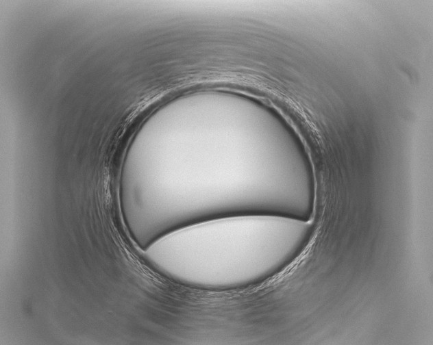 X0000116051497200911201031
