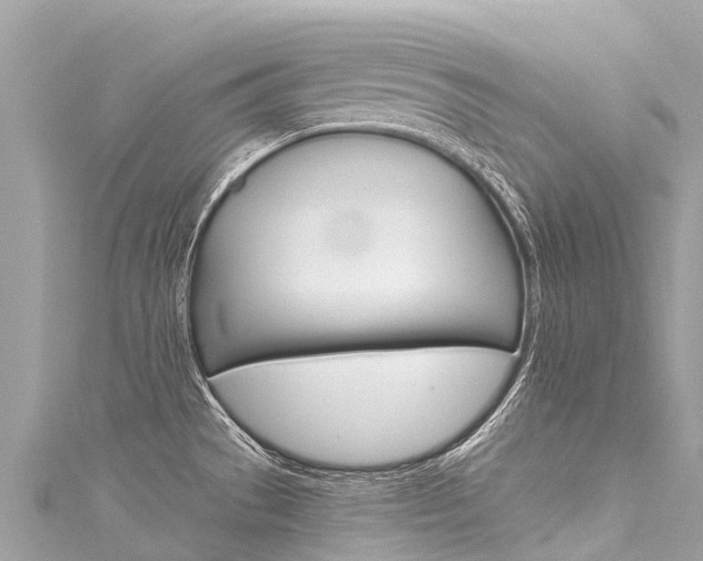 X0000116051529200911201032