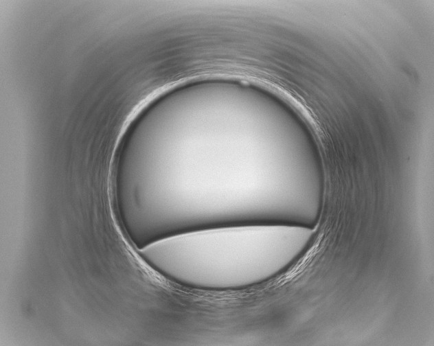 X0000116051533200911201032