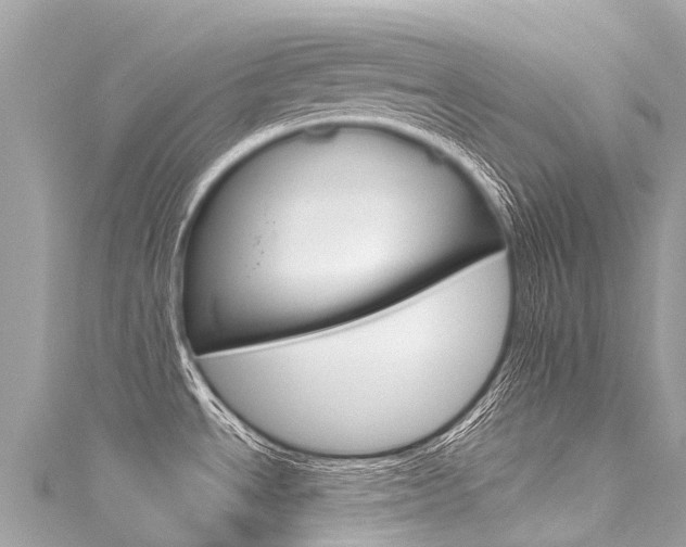 X0000116051534200911201032