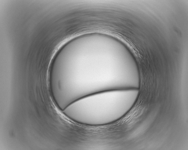 X0000116051535200911201032