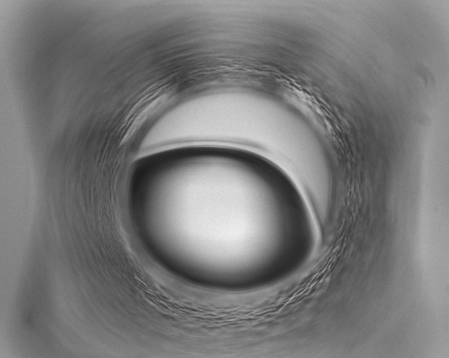 X0000116050001200911201416