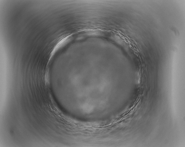 X0000116050004200911201416