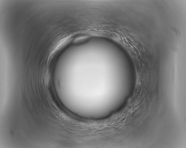 X0000116050005200911201416