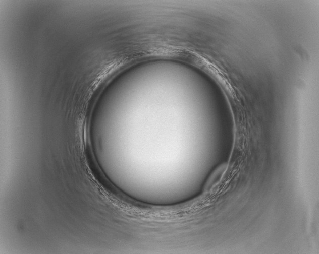 X0000116050011200911201416