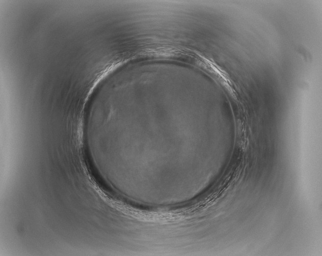 X0000116050012200911201416
