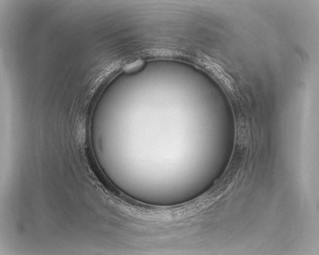 X0000116050015200911201416