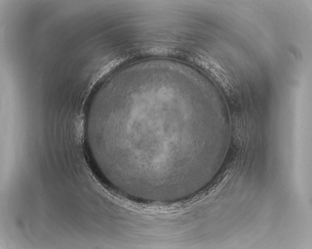 X0000116050016200911201416